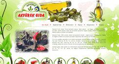 Desktop Screenshot of akyurekgidatic.com