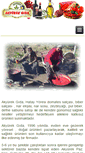 Mobile Screenshot of akyurekgidatic.com